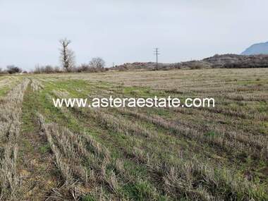 For sale - Orchard in Usoyka,  Kiustendil