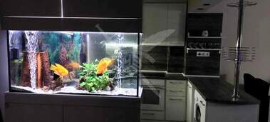 For rent - Apartment in Okrajna bolnica - Generali,  Varna