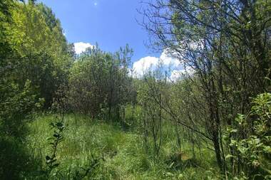Продажа - Участок под строительство в Черна Гора,  Перник