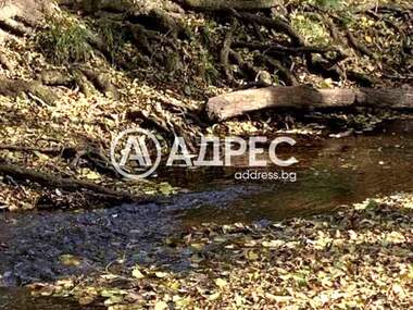Satış - Tarım arsası olarak Veselie,  Burgas