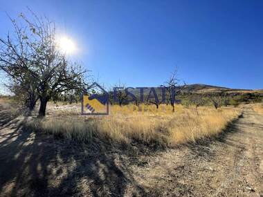For sale - Agricultural land in Brestnik,  Plovdiv