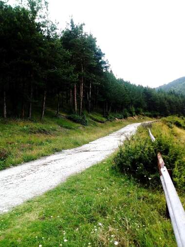 Satış - İnşaat arsası olarak Velingrad,  Pazarcik
