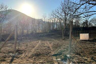 For sale - For Construction in Cherni Vrah,  Shumen