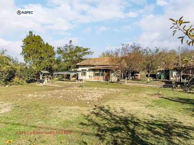 Satış - Ev olarak Braşlianica,  Pleven