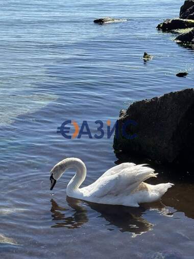 Πώληση - Διαμέρισμα σε Поморие,  Бургас