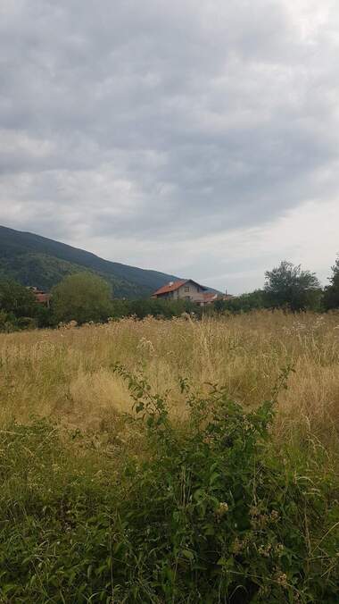 For sale - For Construction in Sapareva Bania,  Kiustendil