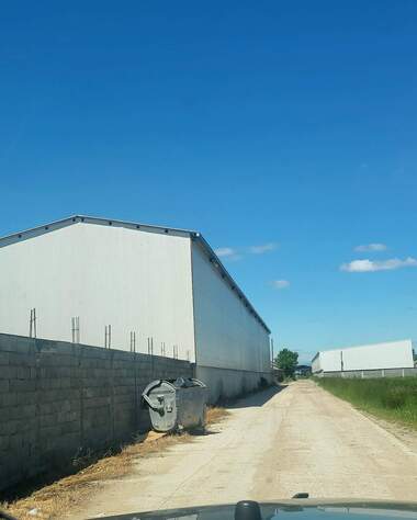 Verkauf - Lager/Industriegebäude/Lagerhalle in Pishtigowo,  Pazardjik
