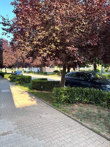 Închiriere - Birou/Magazin/Salon de frumusețe/Cabinet de stomatologie în Svilengrad,  Haskovo