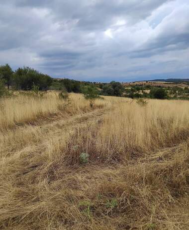 For sale - Agricultural land in Dupnica,  Kiustendil