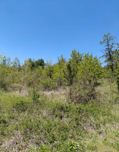 For sale - For Construction in Dupnica,  Kiustendil