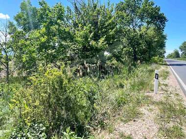 For sale - Agricultural land in Iagodovo,  Plovdiv