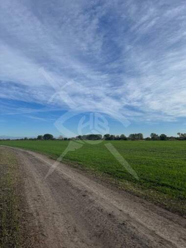 Verkauf - Baugrundstück in Iagodowo,  Plowdiw