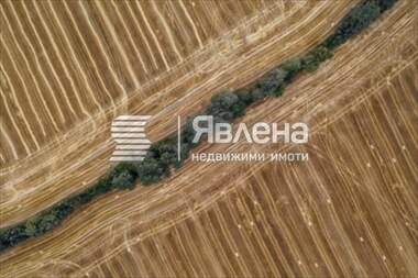 Verkauf - Landwirtschaftlich Grundstück in Koschariza,  Burgas