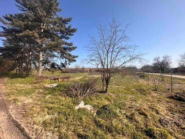 Satış - İnşaat arsası olarak Goliamo Vranovo,  Ruse