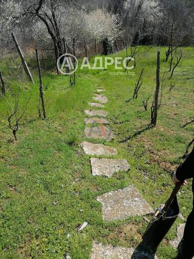 Πώληση - Οικόπεδο για κατασκευή σε Осеново,  Варна