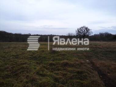 For sale - Agricultural land in Varvara,  Burgas