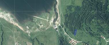 For sale - Meadow/pasture in Batak,  Pazardjik