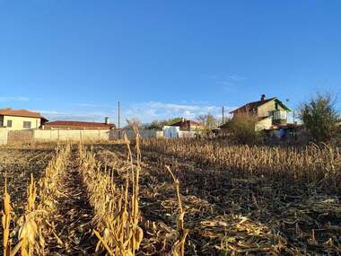 For sale - For Construction in Rosenovo,  Dobrich