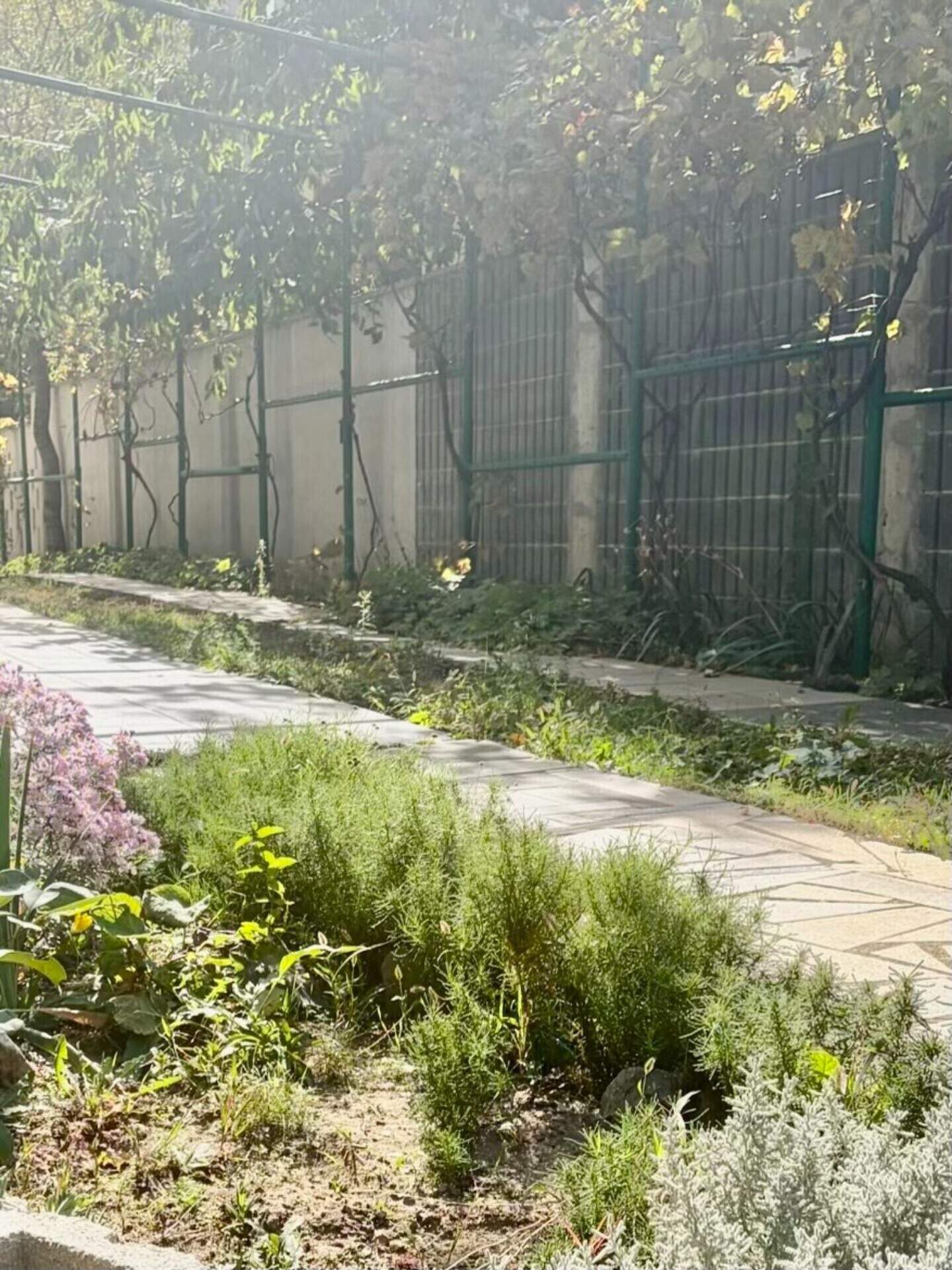 Cu trei camere Apartament în Galata, Varna – fotografia 10