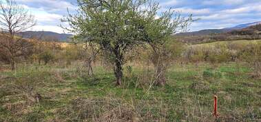For sale - For Construction in Ravnovo,  Veliko Tyrnovo