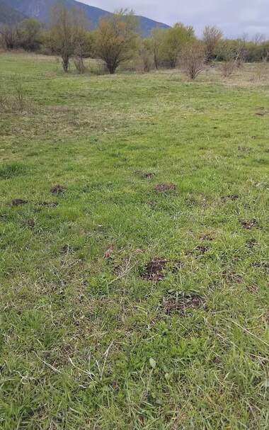For sale - Agricultural land in Mazarachevo,  Kiustendil