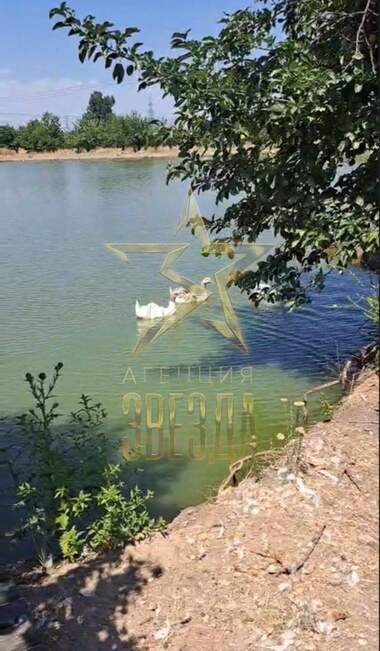 For sale - Agricultural land in Glavinica,  Pazardjik