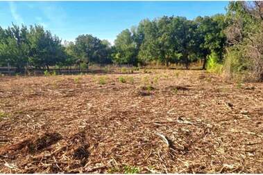 For sale - For Construction in Riahovo,  Ruse