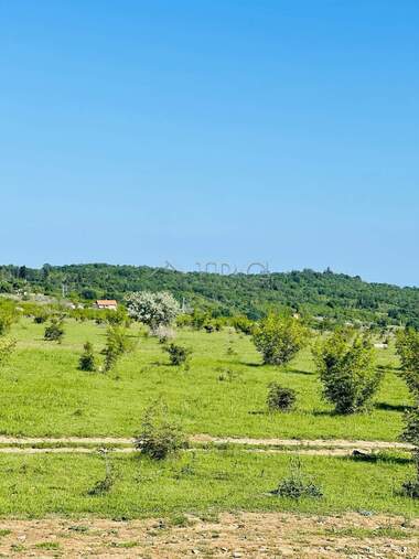 Satış - Tarım arsası olarak Koşarica,  Burgas