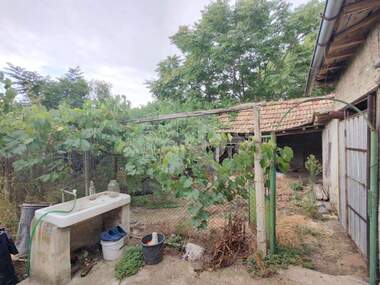 For sale - House in Bdintsi,  Dobrich