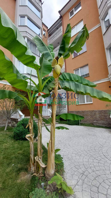 Verkauf - Wohnung in Sonnenstrand,  Burgas