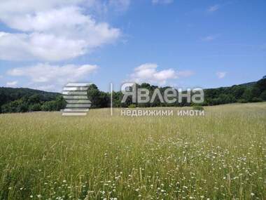 For sale - Agricultural land in Carevo,  Burgas