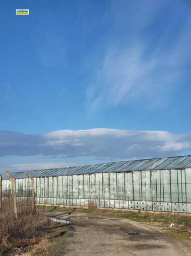For sale - Agricultural land in Govedare,  Pazardjik