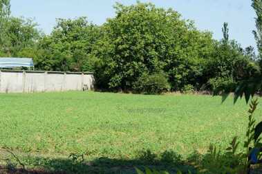For sale - Agricultural land in jeliu Voyvoda,  Sliven