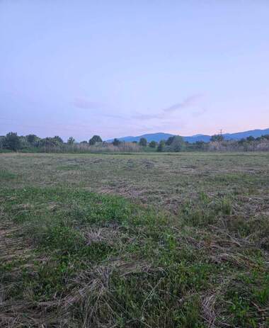 For sale - Agricultural land in jabokrat,  Kiustendil