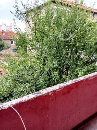 Verkauf - Wohnung in Kooperatiwen  pazar,  Targowishte