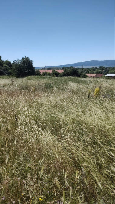 Ενοίκιο - Βιομηχανικός χώρος/Συνεργείο/Αποθήκη σε Друган,  Перник