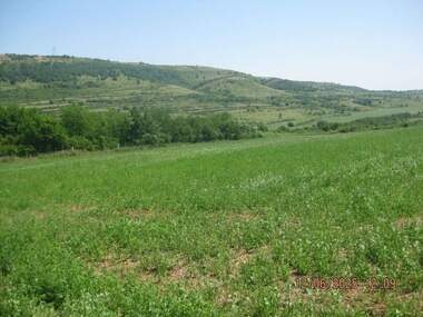 Vânzare - Teren agricol în Dolna Beșovița,  Vrața