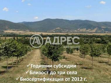 For sale - Agricultural land in Gorno Kamarci,  Sofia Oblast