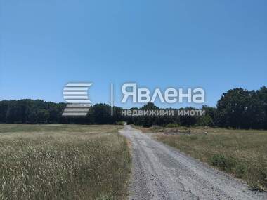 For sale - Agricultural land in Sinemorets,  Burgas