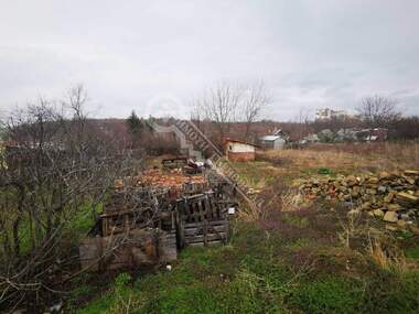 Vânzare - Plantații viticole în Gorna Oriahovița,  Veliko Tărnovo