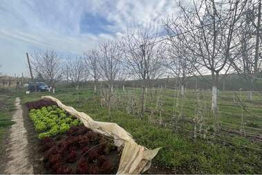 For sale - House in Ilia Blaskovo,  Shumen