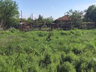 Продажба - Парцел за строителство в Павел,  Велико Търново