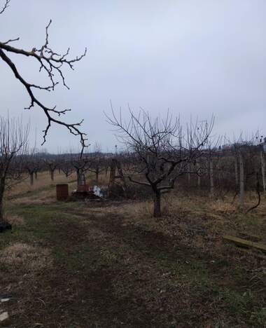 For sale - For Construction in Samoranovo,  Kiustendil