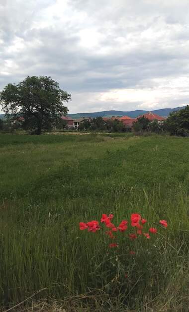 Verkauf - Baugrundstück in Kraynizi,  Küstendil