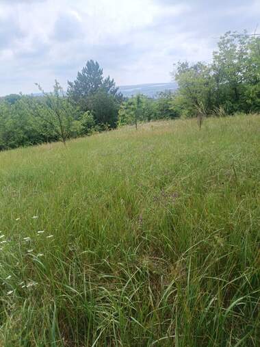 Satış - Asmalıklar olarak Promişlena zona - Sever,  Razgrad