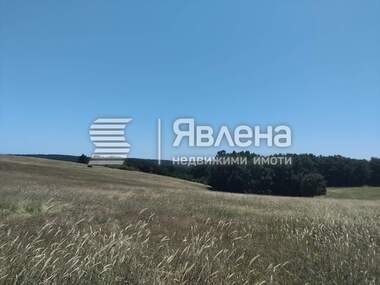 For sale - Agricultural land in Sinemorets,  Burgas