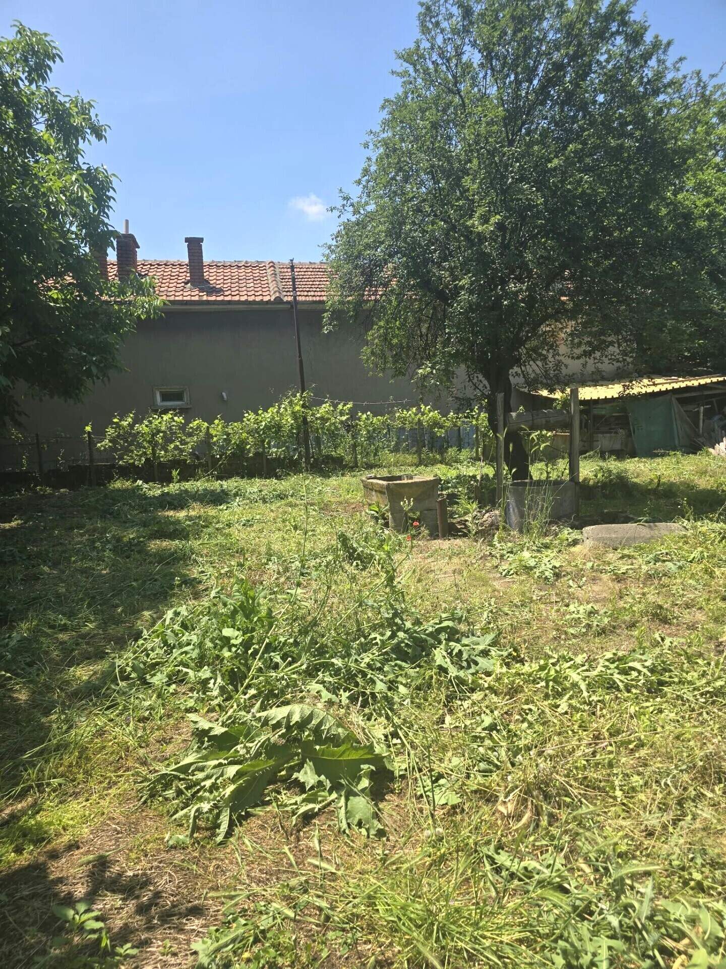 House in Radnevo, Stara Zagora – photo 6