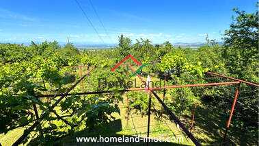 For sale - House in Patalenica,  Pazardjik