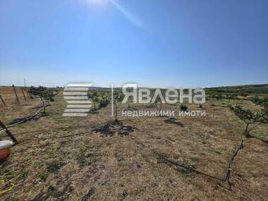 For sale - Agricultural land in Pomorie,  Burgas