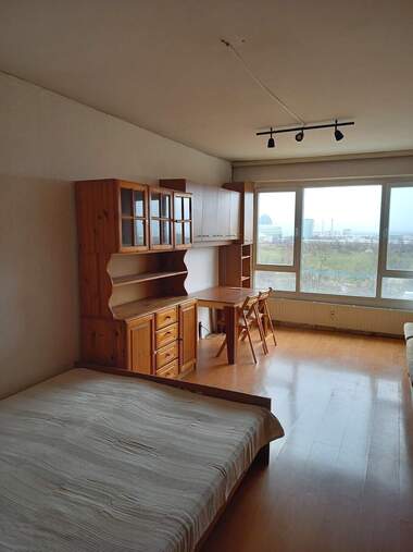 Miete - Wohnung in Mladost-3,  Sovia